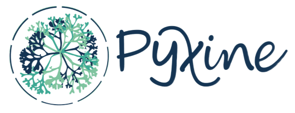 Pyxine